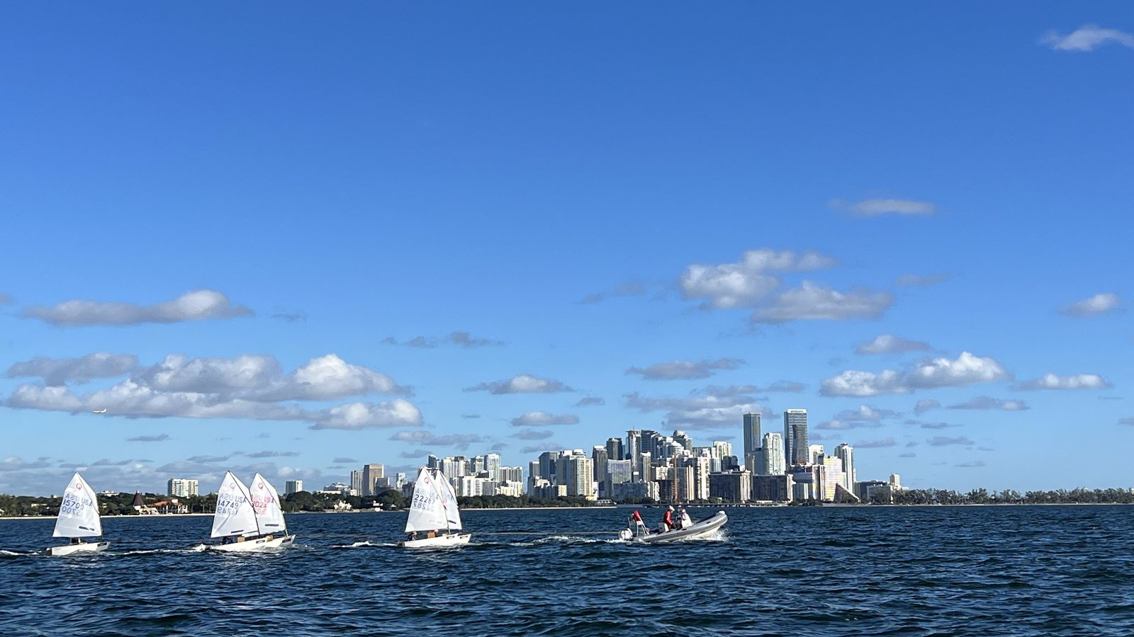 Optimist fleet sailing in front of the Miami skyline