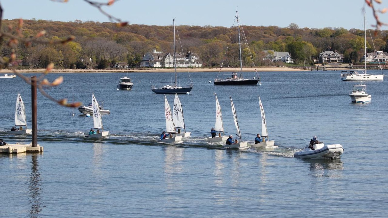 Optimist fleet sailing near a dock in autumn